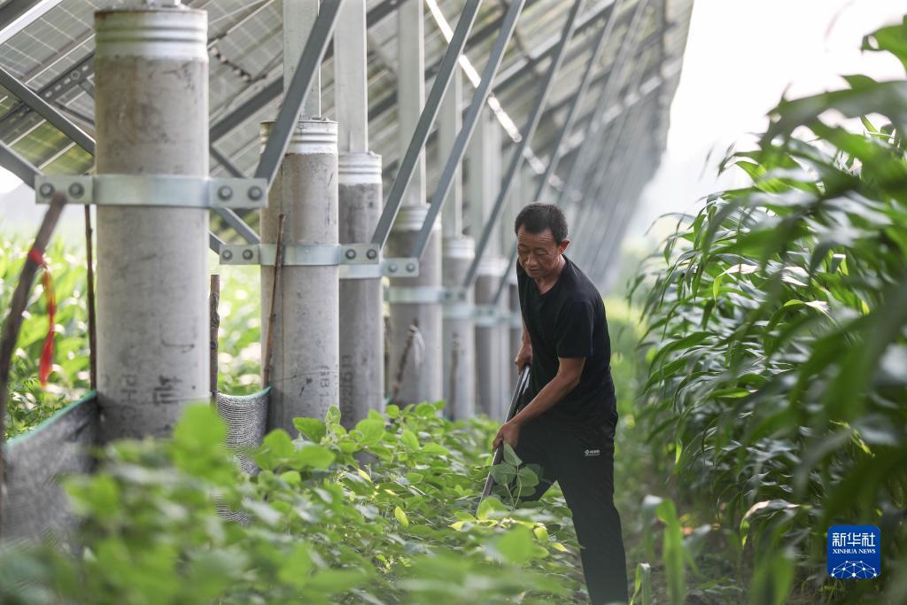 土豪斗翻天为什么下载好了进不去